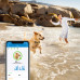 Tractive GPS-tracker hond White