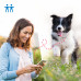 Tractive GPS-tracker hond White